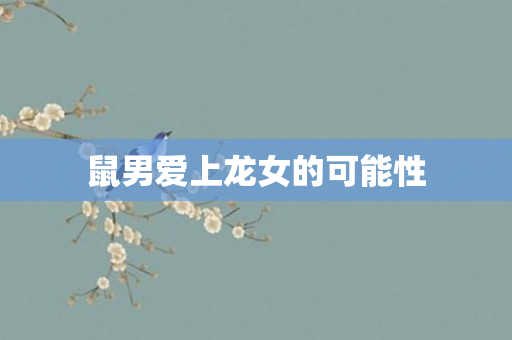 鼠男爱上龙女的可能性
