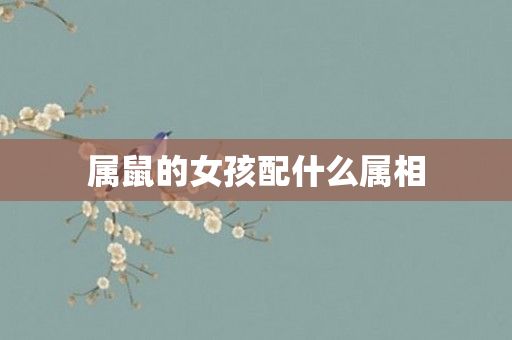 属鼠的女孩配什么属相