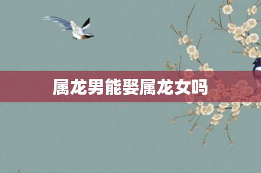 属龙男能娶属龙女吗