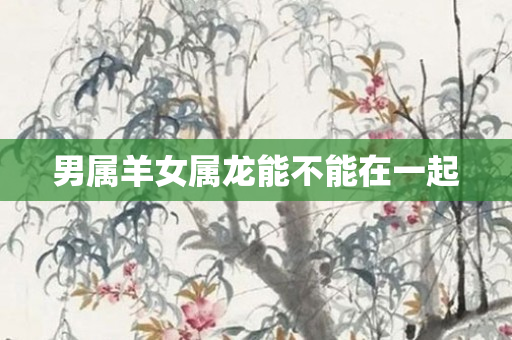 男属羊女属龙能不能在一起