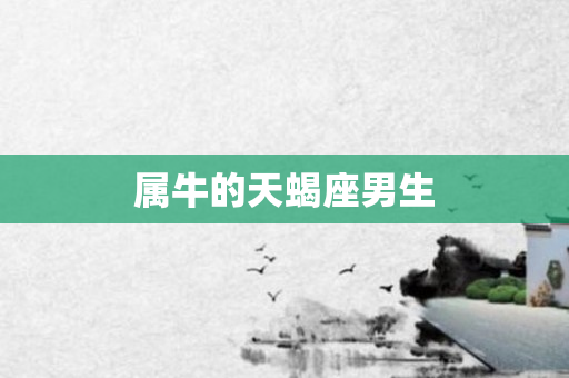 属牛的天蝎座男生