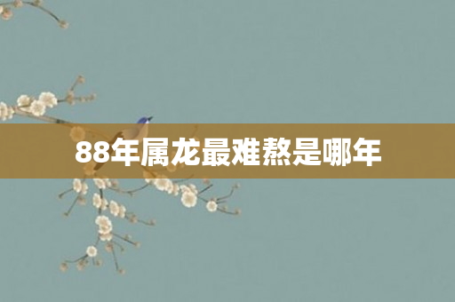 88年属龙最难熬是哪年