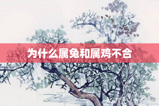 为什么属兔和属鸡不合
