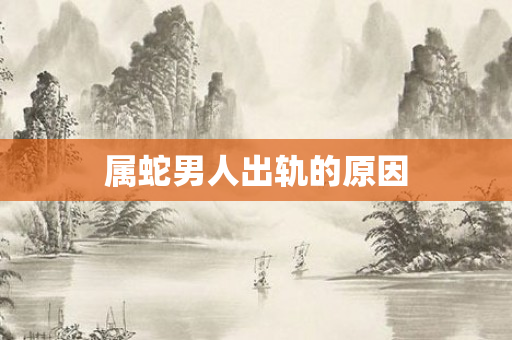 属蛇男人出轨的原因