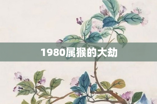 1980属猴的大劫