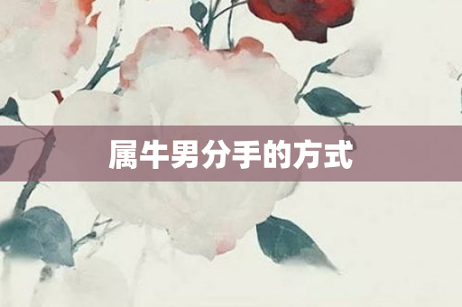 属牛男分手的方式