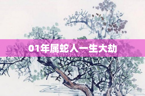 01年属蛇人一生大劫