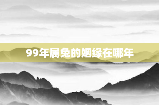 99年属兔的姻缘在哪年