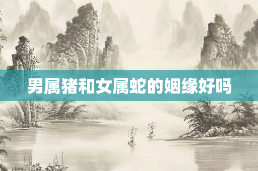 男属猪和女属蛇的姻缘好吗