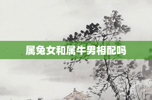 属兔女和属牛男相配吗
