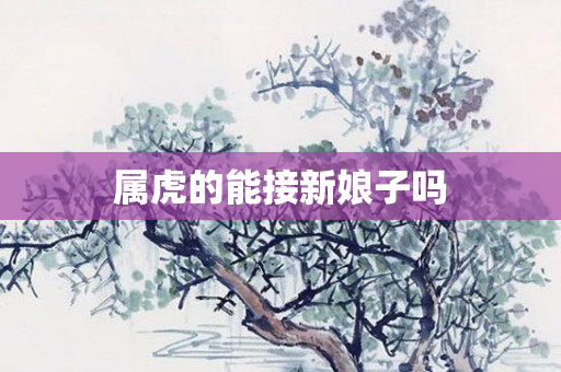 属虎的能接新娘子吗