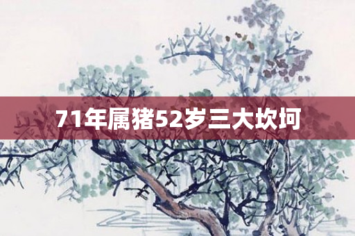 71年属猪52岁三大坎坷