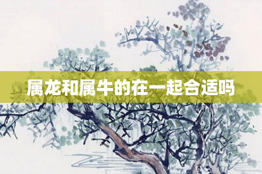 属龙和属牛的在一起合适吗