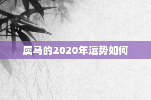 属马的2020年运势如何