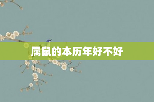 属鼠的本历年好不好