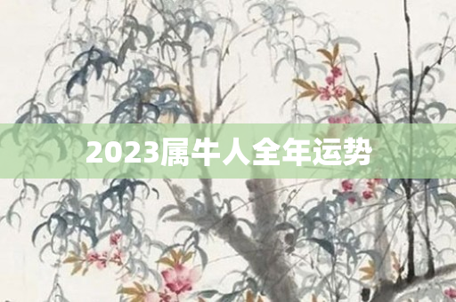 2023属牛人全年运势