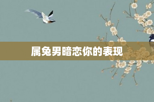 属兔男暗恋你的表现