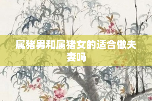 属猪男和属猪女的适合做夫妻吗