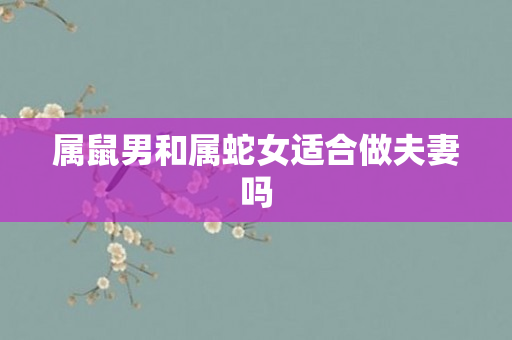 属鼠男和属蛇女适合做夫妻吗
