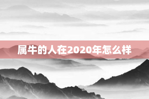 属牛的人在2020年怎么样