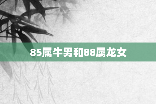 85属牛男和88属龙女