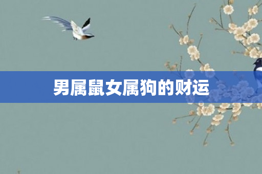男属鼠女属狗的财运