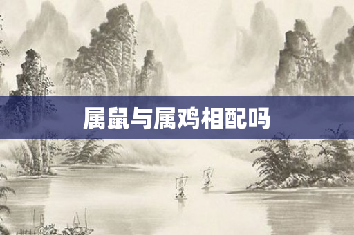 属鼠与属鸡相配吗