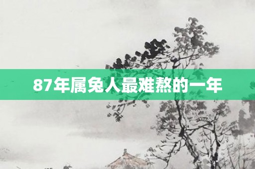 87年属兔人最难熬的一年