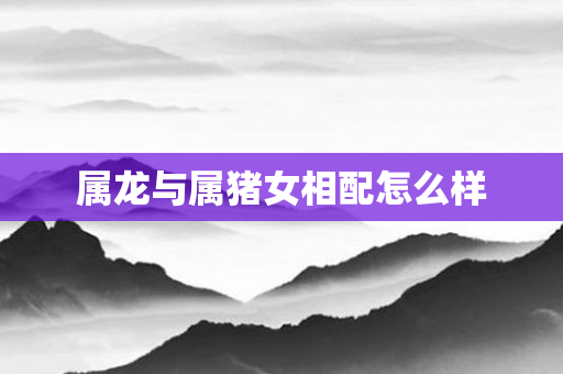 属龙与属猪女相配怎么样