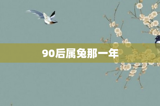 90后属兔那一年