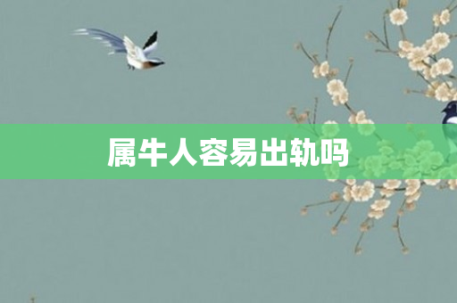属牛人容易出轨吗