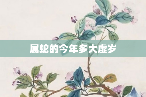 属蛇的今年多大虚岁