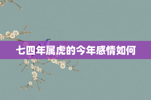 七四年属虎的今年感情如何