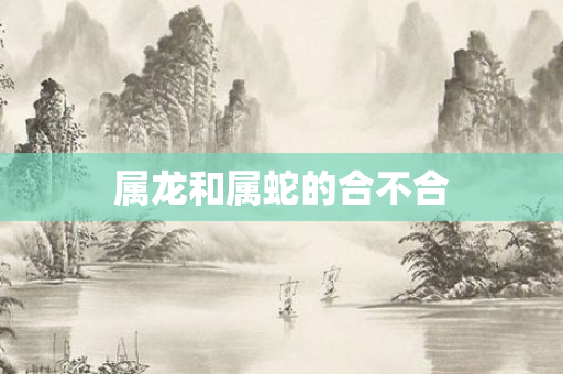 属龙和属蛇的合不合