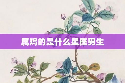 属鸡的是什么星座男生