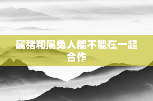 属猪和属兔人能不能在一起合作
