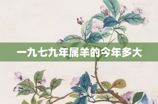 一九七九年属羊的今年多大