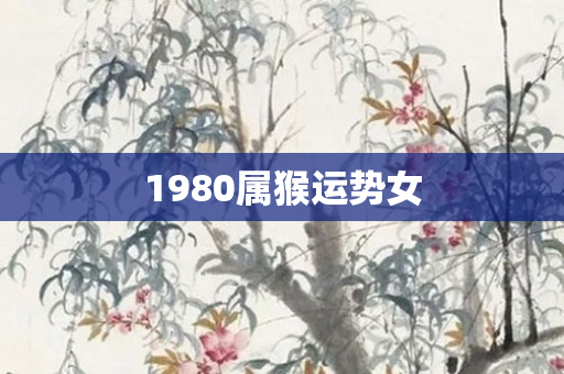 1980属猴运势女