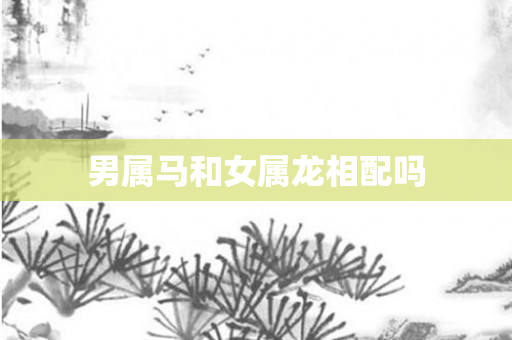 男属马和女属龙相配吗