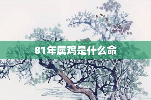 81年属鸡是什么命