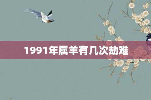 1991年属羊有几次劫难