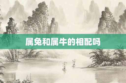 属兔和属牛的相配吗