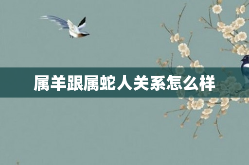 属羊跟属蛇人关系怎么样