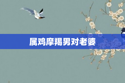 属鸡摩羯男对老婆