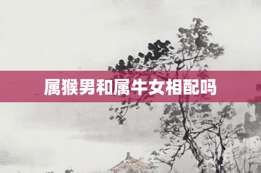 属猴男和属牛女相配吗