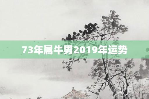 73年属牛男2019年运势