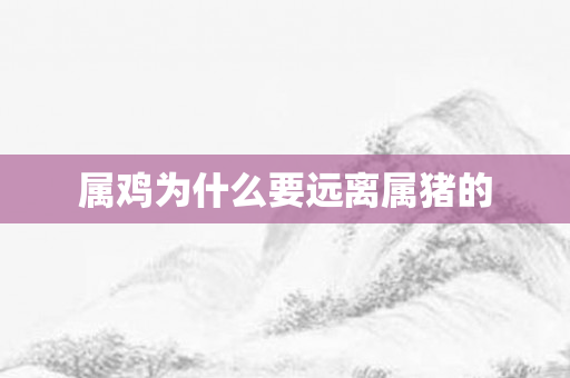 属鸡为什么要远离属猪的