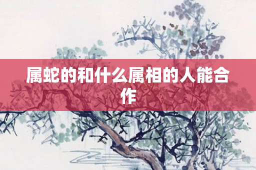 属蛇的和什么属相的人能合作
