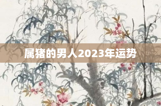 属猪的男人2023年运势