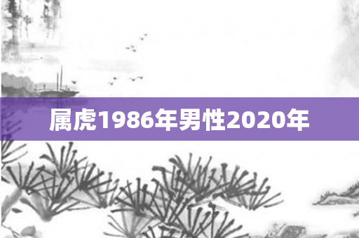 属虎1986年男性2020年